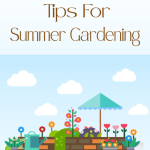 Tips For Summer Gardening